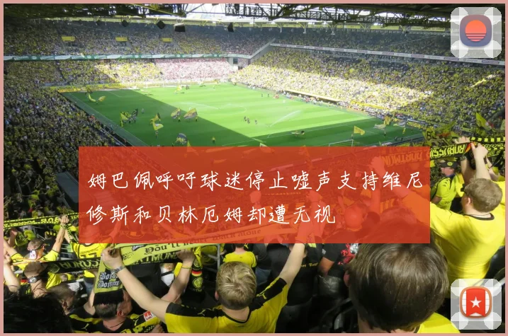姆巴佩呼吁球迷停止嘘声支持维尼修斯和贝林厄姆却遭无视