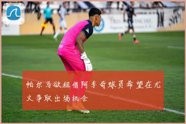 帕尔马欲租借阿季奇球员希望在尤文争取出场机会
